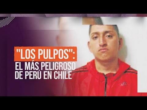 Los Pulpos: El más peligroso de Perú en Chile #ReportajesT13