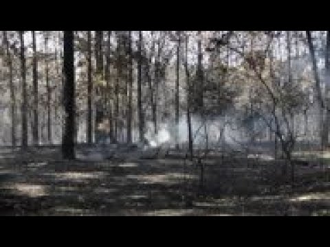 Hundreds evacuated as wildfires rage in Florida