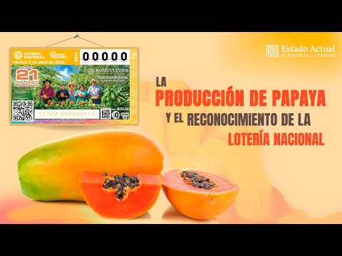 La producción de papaya y el reconocimiento de la Lotería Nacional