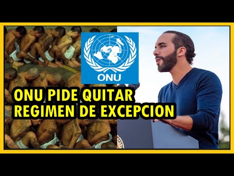 La ONU pide otra vez derogar régimen de excepción | Las disculpas del ministro salud