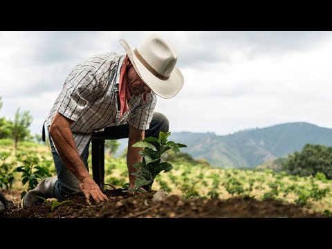 AMLO REVELA QUE EMPRESARIO BUSCA AYUDAR A REFORESTAR CUENCA DEL RÍO NAZAS