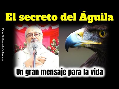 EL SECRETO DEL AGUILA - Una GRAN enseñanza para LA VIDA Padre Guillermo León Morales