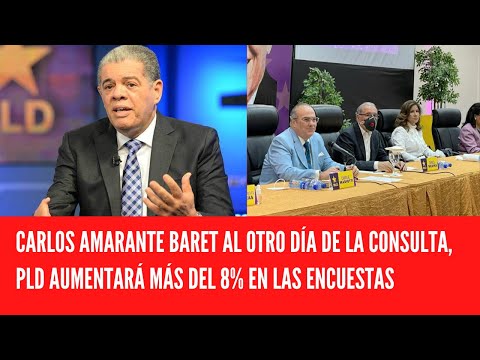 CARLOS AMARANTE BARET AL OTRO DÍA DE LA CONSULTA, PLD AUMENTARÁ MÁS DEL 8% EN LAS ENCUESTAS