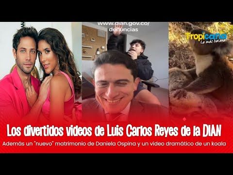 Los divertidos videos de Luis Carlos Reyes de la DIAN