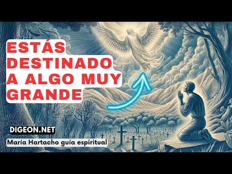 ESTE MENSAJE ES PARA TIMENSAJE DE LOS ÁNGELES PARA TI -DIGEON- Arcángel Uriel-  Enseñanza VERTI