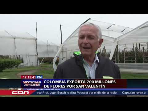 Colombia exporta 700 Millones de flores por San Valentín