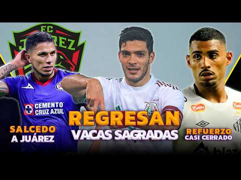 VACAS SAGRADAS VUELVEN AL TRI | SALCEDO Y PIZARRO A JUÁREZ | TIGRES TIENE NUEVO FICHAJE DE BRASIL