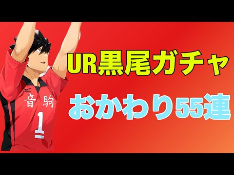 【ハイフラ】音駒をまとめる司令塔ガチャ‼️おかわり55連分引いてみた‼️