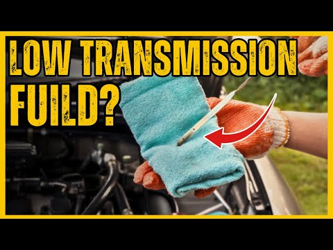 SYMPTOMS OF LOW TRANSMISSION FLUID YOU SHOULD KNOW | DON'T IGNORE THESE SIGNS!