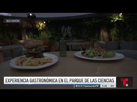 ¡Es fascinante! Restaurante temático de El Yunque en Bayamón