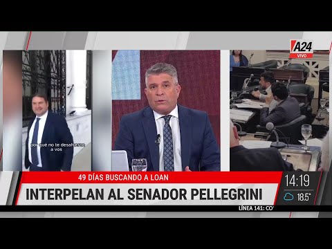 LOAN: Debe presentarse espontáneamente Senador Ruiz Aragón sobre Diego Pellegrini