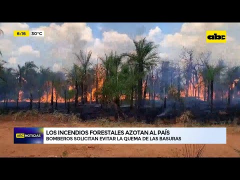 Los incendios forestales azotan al país