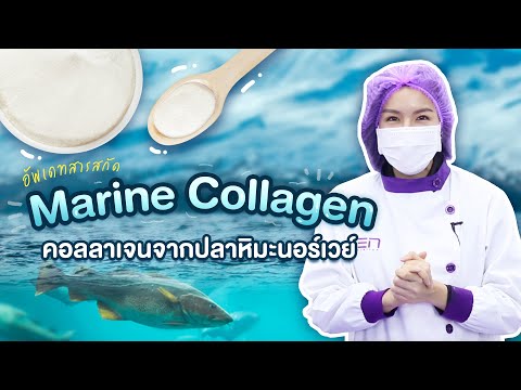 อัปเดต-สารสกัดใหม่-จากปลาหิมะน อัปเดต-สารสกัดใหม่-จากปลาหิมะน