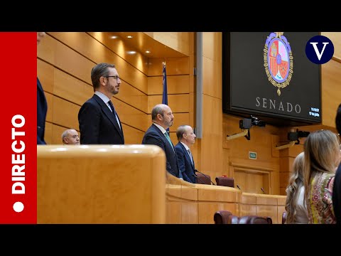 Sesión de control en el Senado