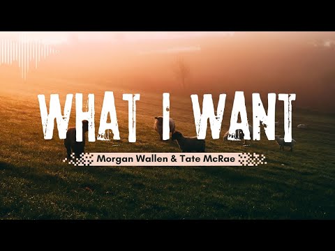 Morgan Wallen, Tate McRae - What I Want (Lyrics) - 1 Hour