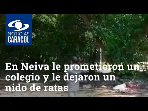 A barrio en Neiva le prometieron un colegio y le dejaron un nido de ratas