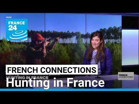 Hunting: France's divisive, third-favourite pastime • FRANCE 24 English