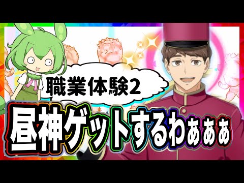 初めての昼神ガチャ！結果はどうなった？【ハイキュー‼︎Touch The Dream】【無課金ハイドリ】ずんだもん実況