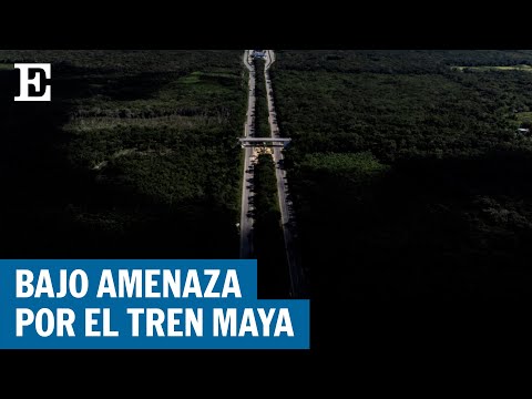 Crece incertidumbre entre expertos y comunidades por el Tren Maya | EL PAÍS