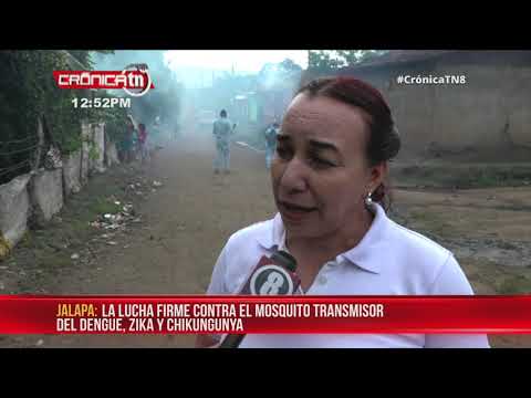 MINSA da inició a jornada de fumigación y abatización en Jalapa - Nicaragua