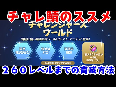 【メイプルストーリー】6次転職まで爆速！おすすめ育成方法【新規/復帰】【チャレ鯖】