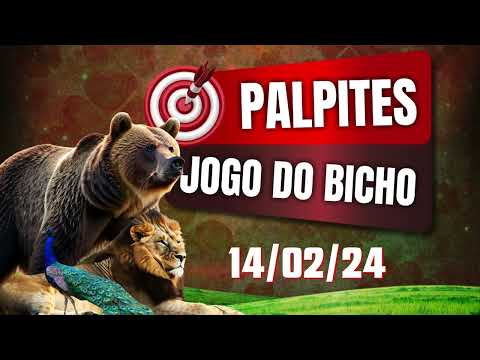 Palpites do dia e Bichos Atrasados 14/02/24 - | NACIONAL - PT-RIO - LOOK GOIÁS | Ponto Certo