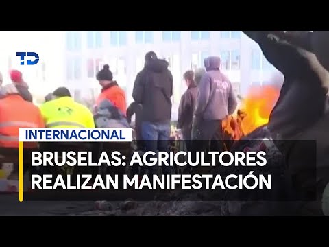 Agricultores realizan una manifestacio?n frente al parlamento europeo en Bruselas