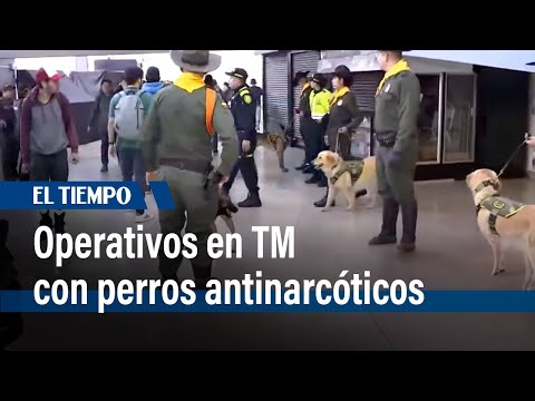 Con perros antinarcóticos, la policía de carabineros realiza operativos en TransMilenio