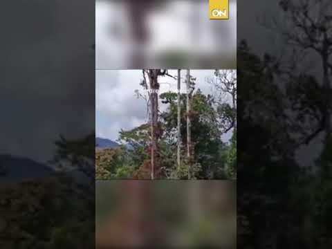 Así fue la caída del helicóptero del Ejército Nacional en frontera con Panamá
