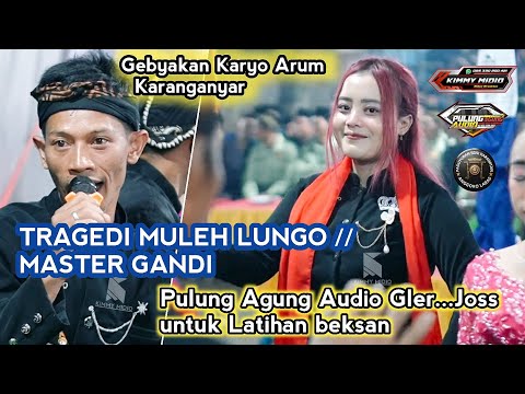TRAGEDI MULEH LUNGO - MASTER GANDI || GEBYAKAN KARYO ARUM KARANGANYAR
