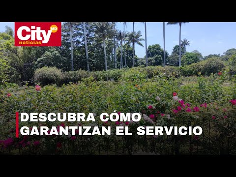 El Jardín Botánico abre sus puertas durante el racionamiento de agua en Bogotá | CityTv