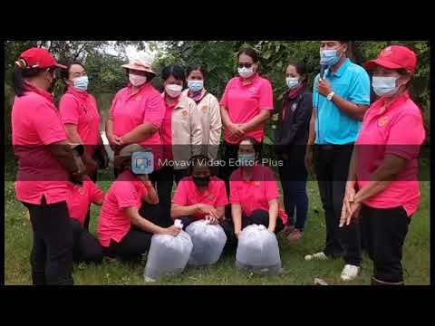 โครงการน้อมรำลึกพระคุณพ่อของแผ โครงการน้อมรำลึกพระคุณพ่อของแผ