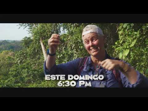 NUESTROS BOSQUES: CONOCER PARA QUERER - PROMOCIÓN OFICIAL DEL ESPECIAL DE LATINA NOTICIAS