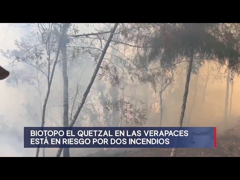 Fuego arrasa con cientos de hectáreas en el Biotopo del Quetzal en las verapaces