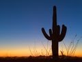Thom Hartmann: Arizona's Pima County Dems move to secede