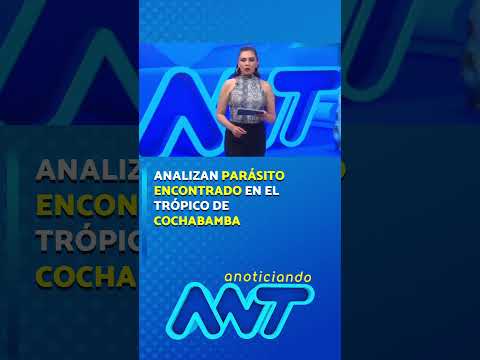 Analizan parásito encontrado en el Trópico de Cochabamba