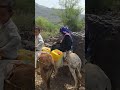 ثلاث دقائق من وقتك ستجعلك تشعر بالنعم التي حولك لانك ستذهب الى العصر الحجري مباشر من خاطرك مجبور