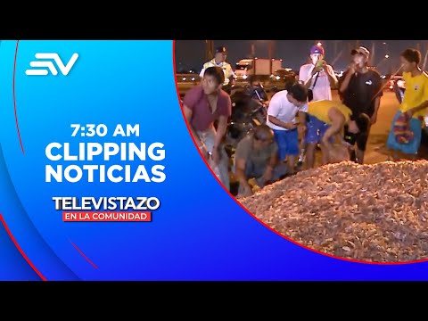 Desechos de camarón se regaron en el Puente de la Unidad Nacional  | Televistazo | Ecuavisa
