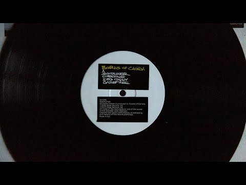 Boards Of Canada - Basefree (vinyl)