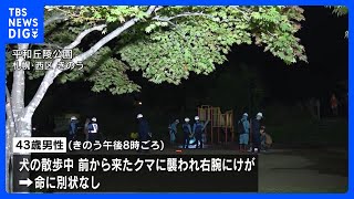 Sapporo Park Closed After Bear Assault On Canine Walker Sapporo Park Closed After Bear Assault On Canine Walker