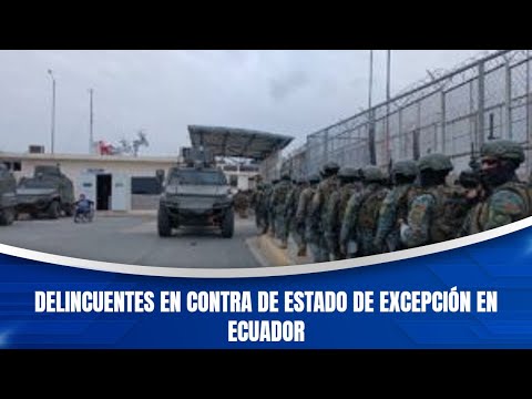 Delincuentes en contra de estado de excepción en Ecuador