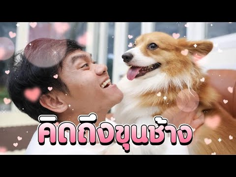 กลับไปหาขุนช้าง-!!! กลับไปหาขุนช้าง-!!!