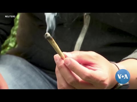 Maioria dos norte-americanos apoiam legalização da marijuana