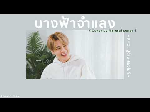 🦋[เนื้อเพลง]นางฟ้าจำแลง-PM