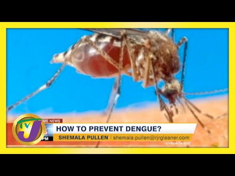 How to Prevent Dengue TVJ News - May 5 2021