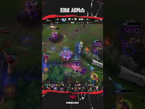 서커스는 재밌으셨나요?