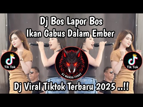 DJ BOS LAPOR BOS IKAN GABUS DALAM EMBER || DJ GARAM CINA VIRAL TIKTOK TERBARU 2025 !!