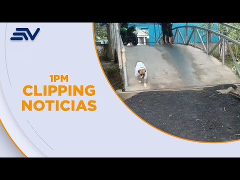 Afectaciones por desbordamiento de quebradas y esteros en Tena | Televistazo | Ecuavisa