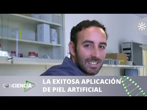 ConCiencia | Piel artificial made in Universidad de Granada