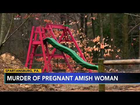 Guns, broken knife parts found in home where pregnant Amish woman was killed: Police